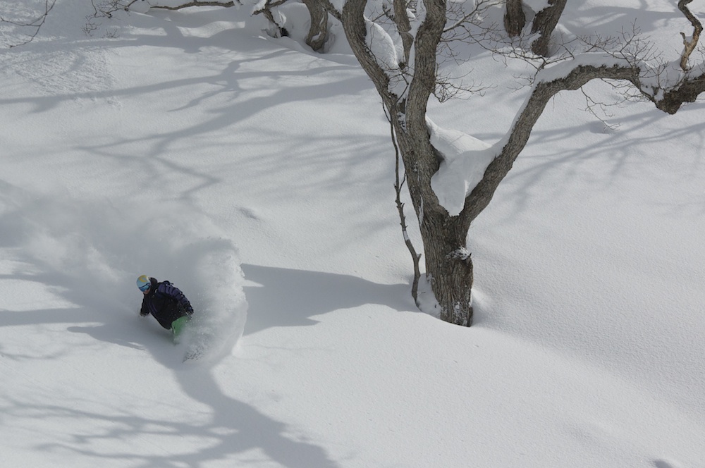 Quinton powder shot - Powder Detours