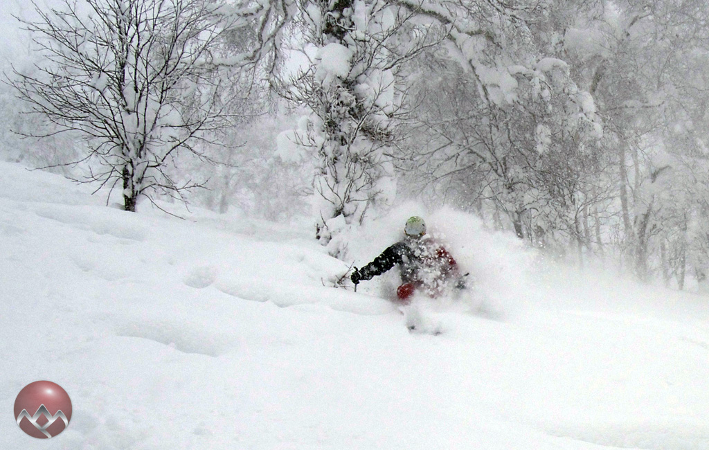 Another typical Niseko face shot